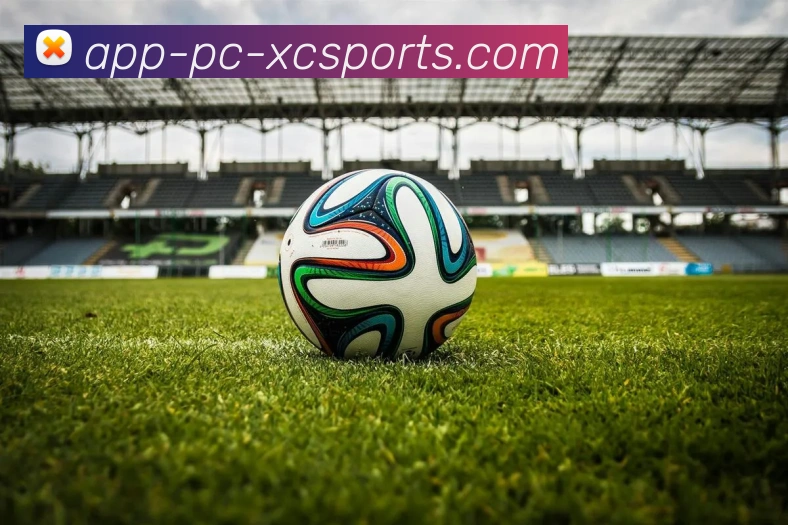 杏彩体育平台生态图