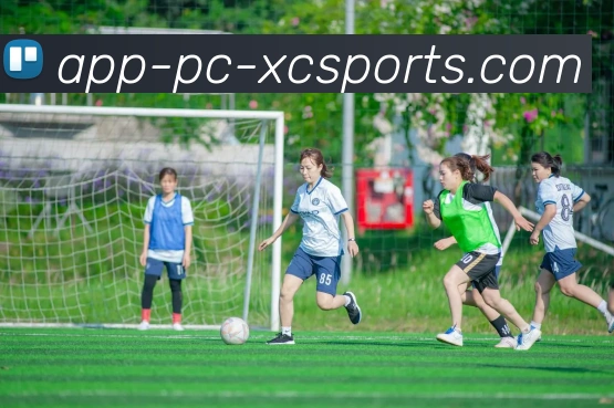 辅助工具 辅助工具